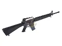 CYMA-CGS-COLT1023-LS_1.webp