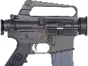 CYMA-CGS-COLT1018_3.webp