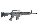 CYMA-CGS-COLT1015_1.webp
