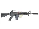 CYMA-CGS-COLT1017_1.webp