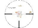 VO-SCOC-54_5.webp