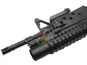 AG-CAEG-701203_2.webp