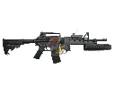 AG-CAEG-701203_1.webp