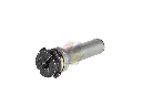 CYMA-M143_1.webp