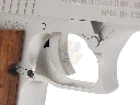 AG-ALC-GP-DE-SV-WD_5.webp