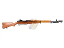 AK-AEG-M1D-RW_1.webp