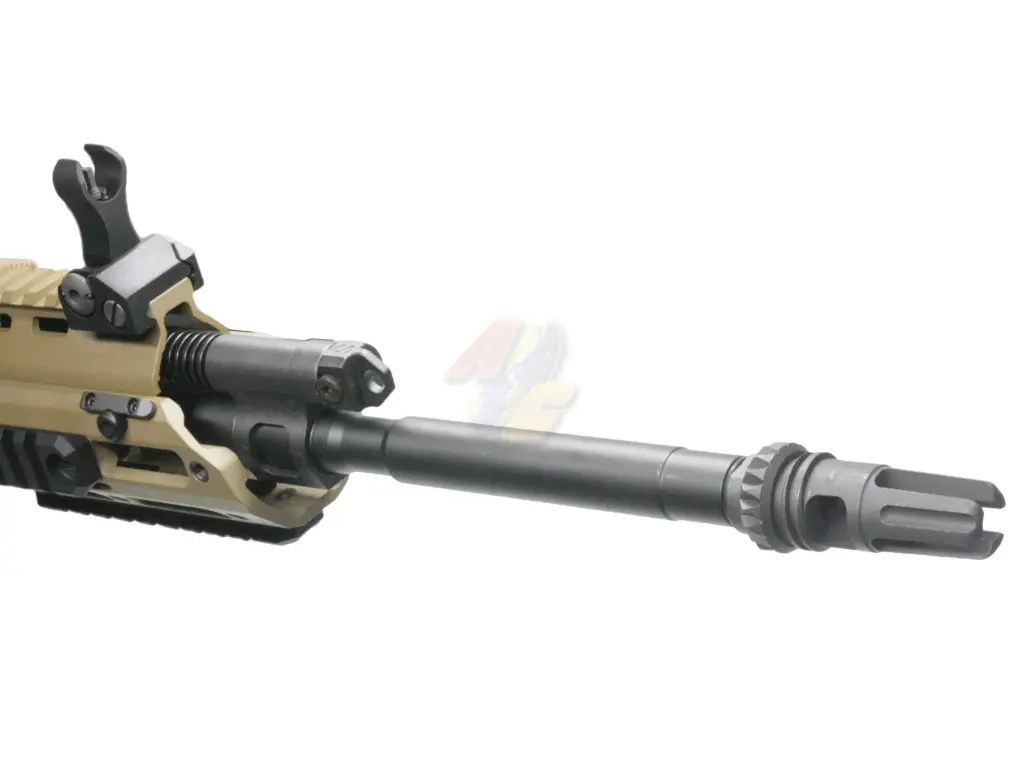 AG-CAEG-0034-31_3.webp