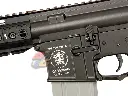AG-CAEG-NOV07APS_3.webp