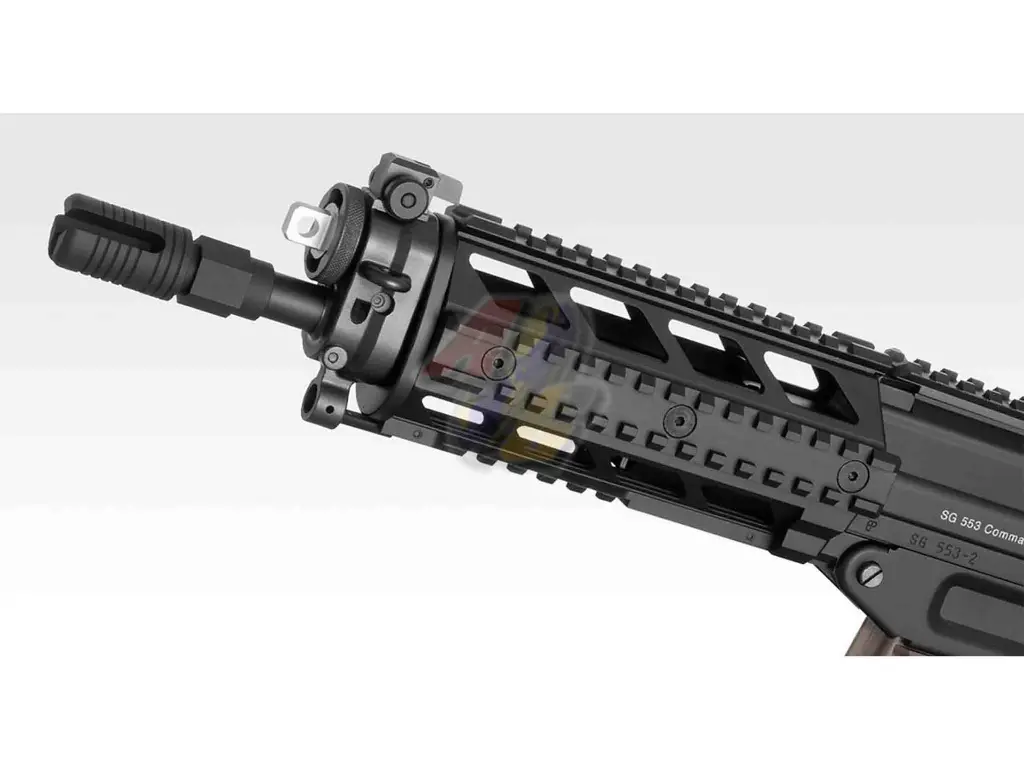 TM-AEG-SG553-P_2.webp