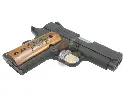 AG-CGP-V10D_4.webp