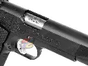 AG-CGP-MSC_4.webp