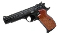 GUN HEAVEN SIG P210 CO2 Pistol