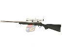 AG Custom Pro Hunter Stainless with Laylax Parts and PDI 6.01 Inner Barrel