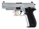 Raven R226 Rail GBB (Silver)