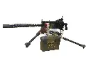 RWA M1919 AEG