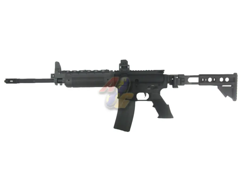 AG Custom LR300 AEG