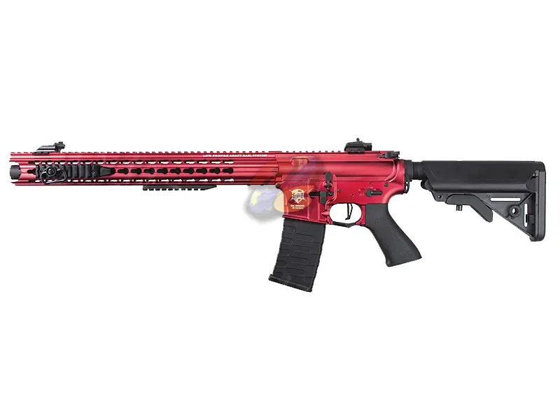 APS BOAR Defense Ambi EBB Rifle (ASR119, 3Gun Custom)