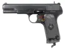 Dual Star CNC TT33 Steel CO2 Pistol ( Limited Edition/ Shabby )