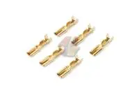 AIP Motor Gold Pin (6 Pcs)